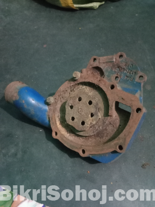 ওয়াটার পাম